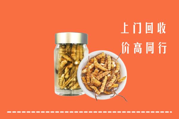 收购行情：闽清县回收冬虫夏草