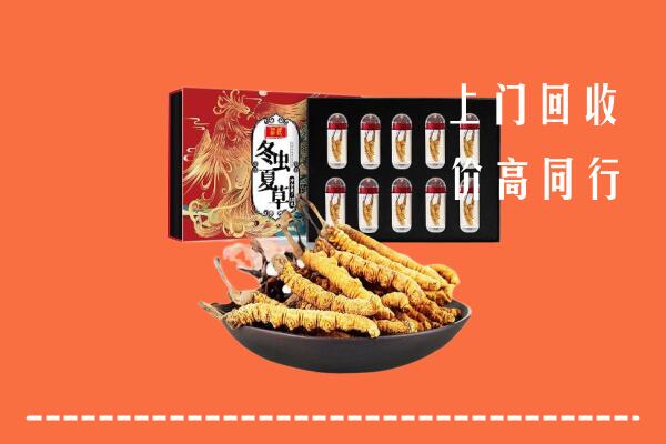 闽清县回收虫草